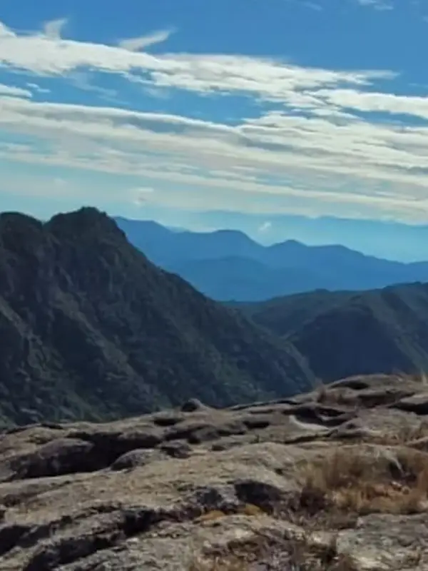 Trilha na Mata Atlântica